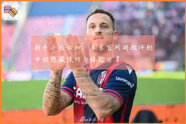 新手小白必知：米乐官网游戏评测中的隐藏技巧与体验分享