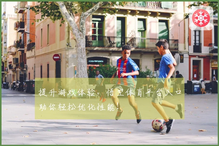 提升游戏体验，悟空体育平台入口助你轻松优化性能！