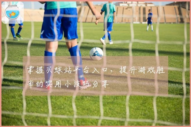 掌握买球站平台入口，提升游戏胜率的实用小技巧分享